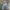 Levi's Skater Casual Jeans Pria gray photo 2