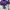 Shein Avant Garde Futurist Crop top Wanita purple photo 3