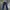 Levi's Streetwear Skater Jeans Pria navy photo 2