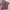 Skater Casual Casual shirt Pria white red photo 1