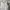 Dior Luxury Minimalist T-shirt Wanita white photo 2