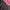 Streetwear Indie Sweater Pria pink black photo 6
