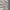 Montbell Sportswear Casual T-shirt Pria tan photo 4