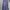 Polo Ralph Lauren Luxury Casual Tracksuit Pria navy photo 6