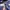 Polo Ralph Lauren Luxury Casual Tracksuit Pria navy photo 4