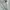 TBJ Nearby Casual Casual shirt Pria white photo 2