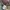 Dickies Vintage Casual Bag Pria white photo 1