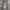 Vintage Emo Skinny jeans Wanita gray photo 2