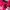 Nike Vintage Sportswear Jersey Pria red photo 7
