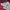 Santa Cruz Skateboards Streetwear Skater Windbreaker Pria red photo 8