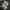 Nike Gorpcore Casual Sneakers Pria white gray photo 6