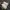 Nike Gorpcore Sportswear Sneakers Pria white orange photo 6