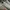 Nike Gorpcore Sportswear Sneakers Pria white orange photo 2