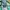 Adidas Sportswear Casual Sweater Wanita green yellow photo 4