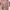 OshKosh Avant Garde Casual Casual dress Wanita pink brown photo 1