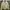 Vintage Y2K Bomber jacket Pria cream yellow photo 2