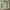 Eastpak Futurist Bag Pria green photo 6