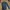 Mind Bridge Casual Formal shirt Pria navy photo 1