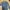 Mind Bridge Casual Formal shirt Pria navy photo 3