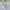 Lacoste Luxury Polo shirt Pria white photo 6