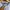 Champion Casual Fleece Pria white photo 2