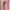 Luxury Fleece Pria pink photo 3