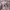 H&M Y2K Luxury Cardigan Wanita white black photo 1