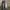 Issey Miyake Casual Casual pants Pria gray photo 1