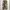 Realtree Streetwear Jeans Pria multicolor photo 5