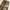 Realtree Streetwear Jeans Pria multicolor photo 3