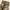 Realtree Streetwear Jeans Pria multicolor photo 6