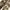 Realtree Streetwear Jeans Pria multicolor photo 4