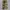 Realtree Streetwear Jeans Pria multicolor photo 1