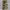 Realtree Streetwear Jeans Pria Multicolor