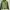 Mountain Hardwear Sportswear Track Jacket Pria Green