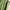Mountain Hardwear Sportswear Track jacket Pria green photo 4