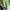 Mountain Hardwear Sportswear Track jacket Pria green photo 3