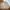 Vintage Casual Harrington jacket Pria tan photo 1