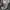 Goth Emo Bodycon dress Wanita tan black photo 2