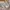 Vintage Summer dress Wanita white photo 3