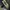Dickies Streetwear Y2K Hat Pria gray photo 4