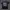 The North Face Luxury Gorpcore T-shirt Pria navy photo 5