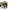 The North Face Sportswear Casual Hat Pria tan photo 6