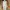 Vintage Casual Casual dress Wanita cream photo 1