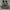 Converse Casual Sneakers Pria gray photo 4