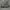 Converse Casual Sneakers Pria gray photo 1