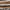 WHO.A.U Streetwear Casual Polo shirt Pria white brown photo 6