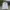 Nike Y2K Chelsea boots Pria white photo 1