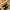 Adidas Streetwear Sneakers Pria black photo 1