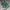 Asics Streetwear Casual Sneakers Pria green photo 2